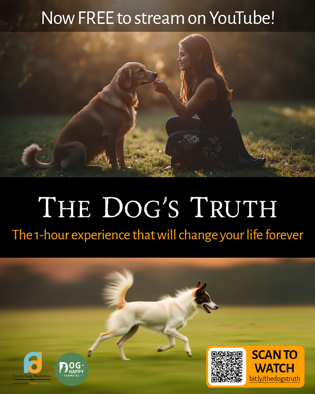The Dog's Truth Documentary