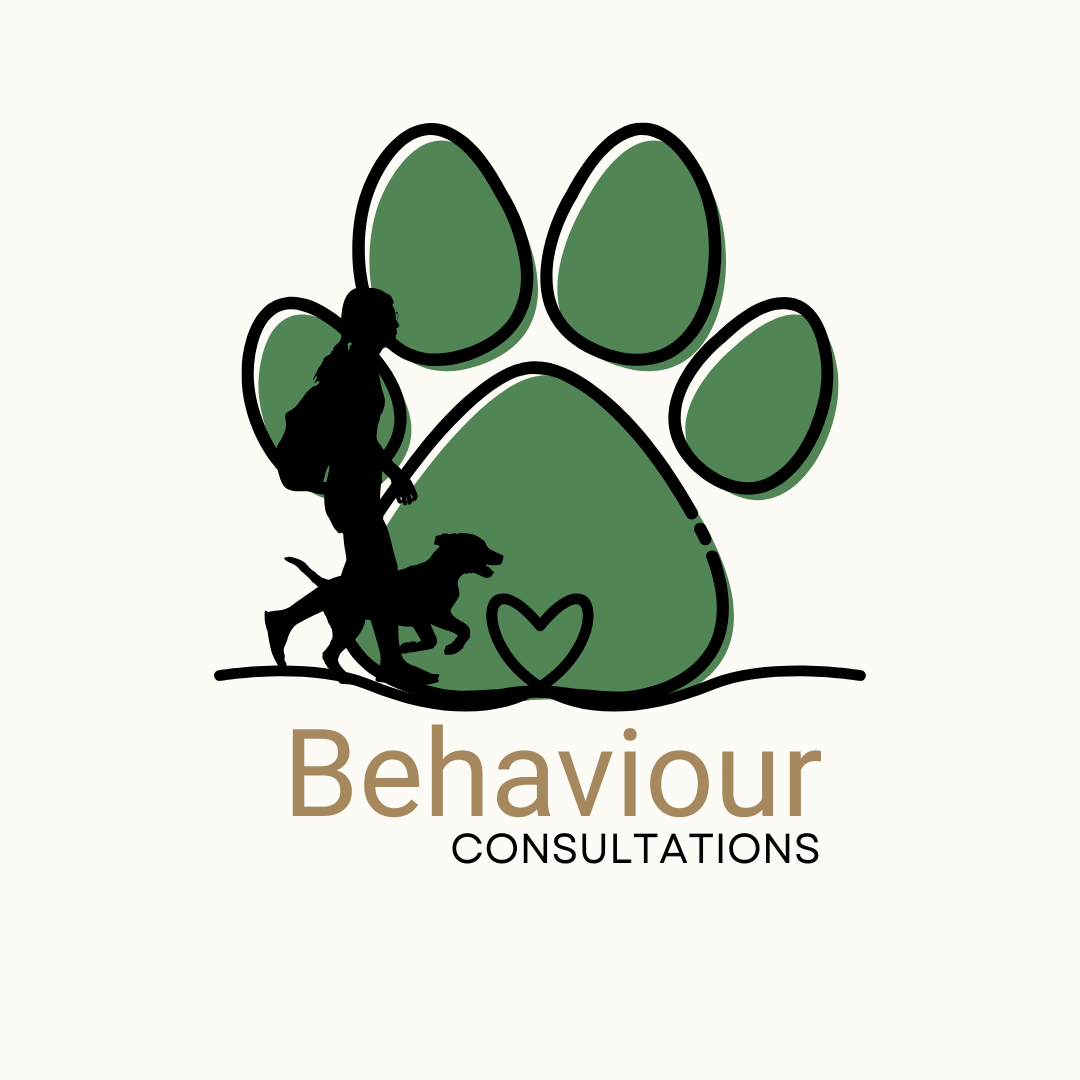 dog behaviour consultations with dog-happy teammates