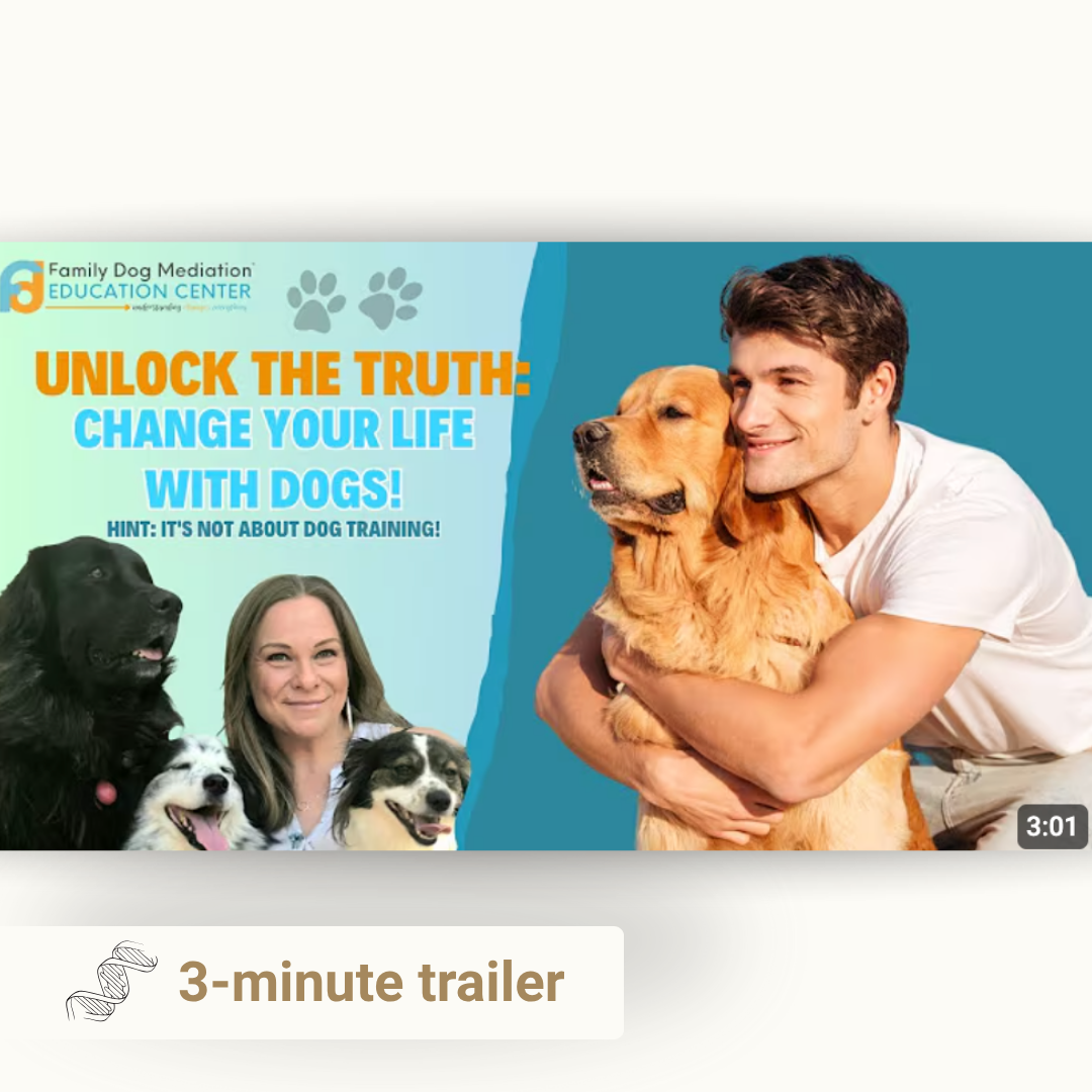 The Dog's Truth by Kim Brophey, 3 minute trailer