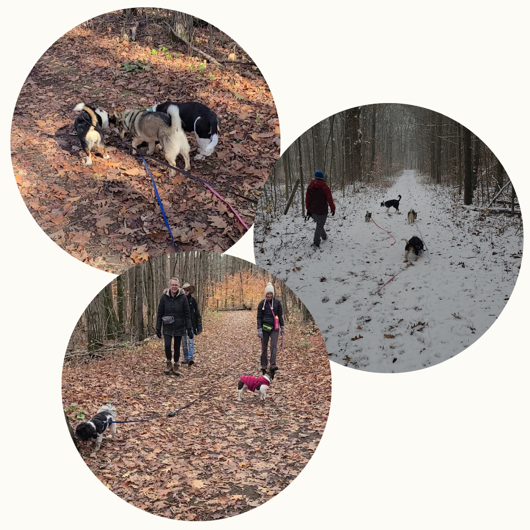 teammates trail hikes