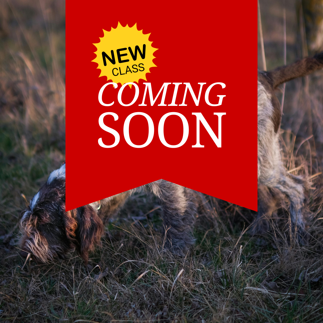 trail hunt international classes coming soon!