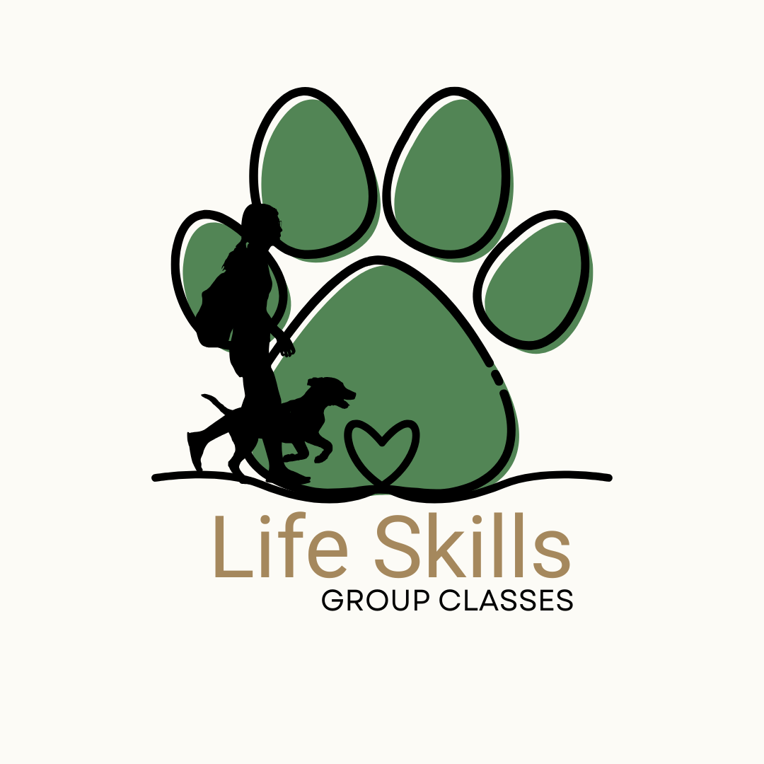 life skills classes with dog-happy teammates