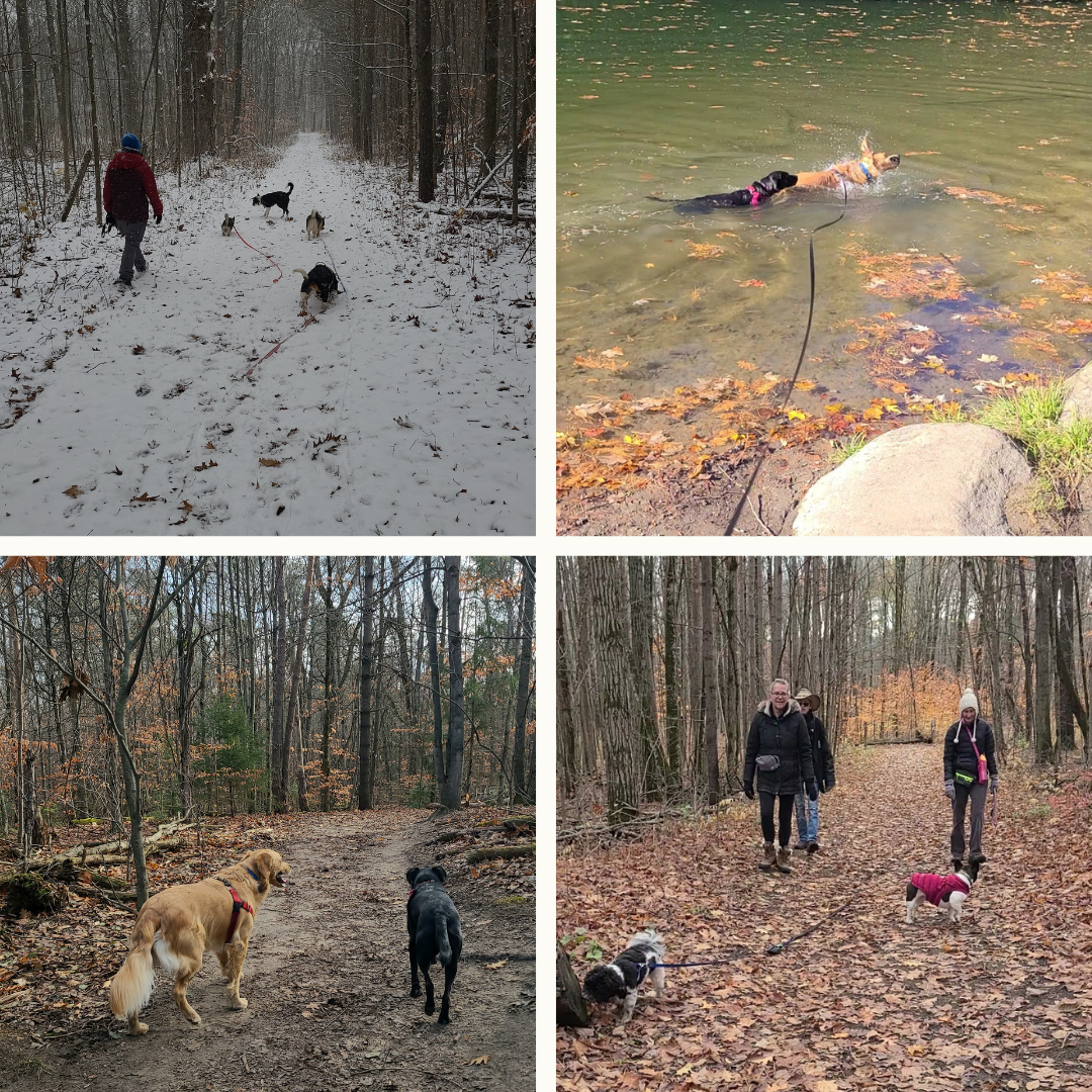 DOG-HAPPY TEAMMATES sign on front lawn forest hikes