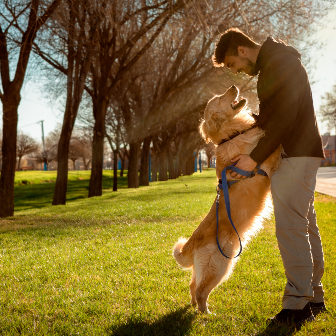Dynamic Duo Group Class - DOG-HAPPY TEAMMATES