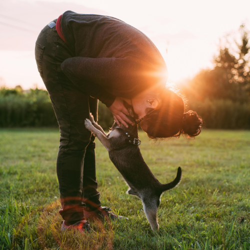 Dynamic Duos Continue Group Class - DOG-HAPPY TEAMMATES