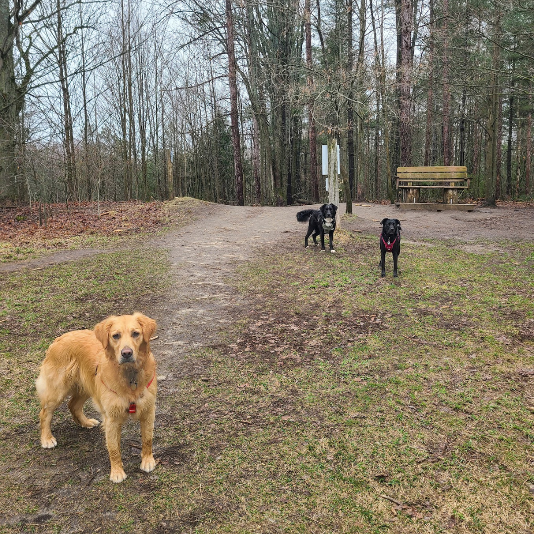 trail hike orientation